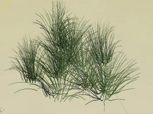 mountain plants - flowers 04 3D Model