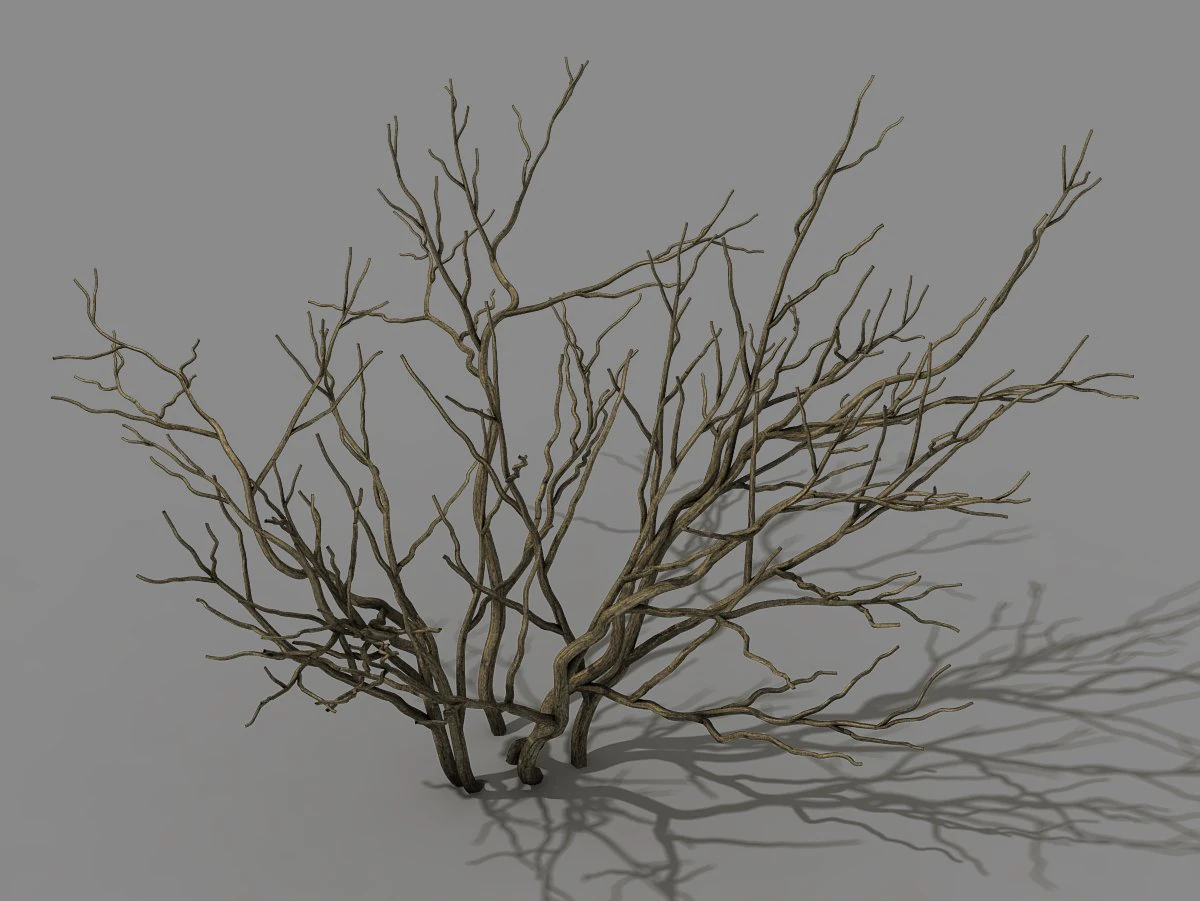 mountain plants - shrubs 01 3D Model .c4d .max .obj .3ds .fbx .stl .blend 