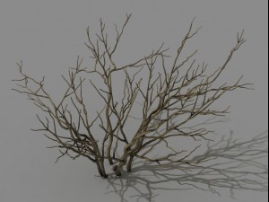 mountain plants - shrubs 01 3D Model