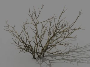 dağ bitkileri - &ccedil;alılar 01 3D Model