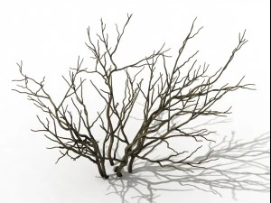mountain plants - shrubs 01 3D Model