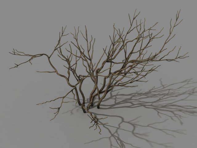 mountain plants - shrubs 02 3D Модель .c4d .max .obj .3ds .fbx .stl .blend 