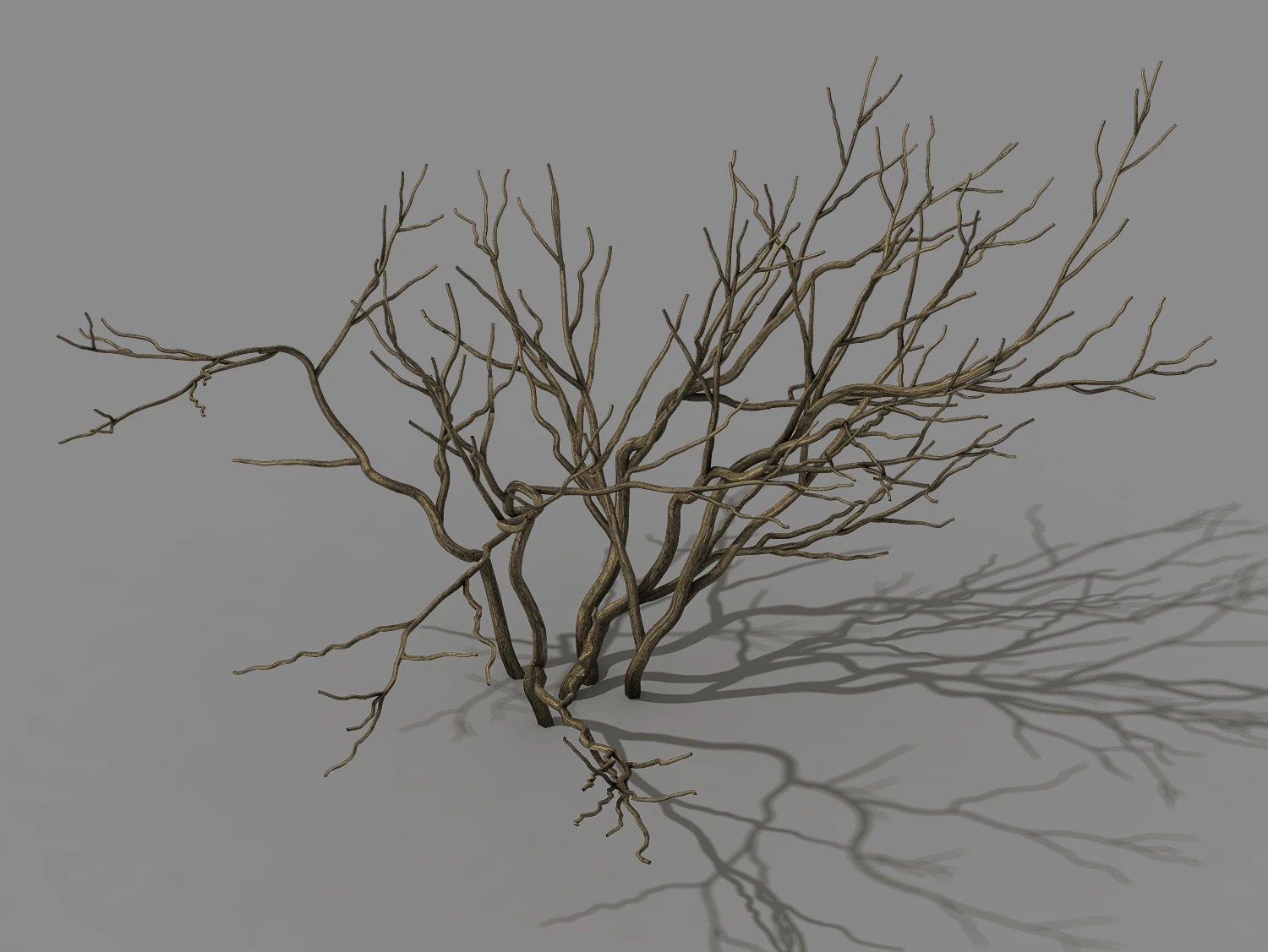 mountain plants - shrubs 02 3D Model .c4d .max .obj .3ds .fbx .stl .blend 