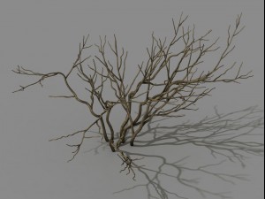 mountain plants - shrubs 02 3D Model