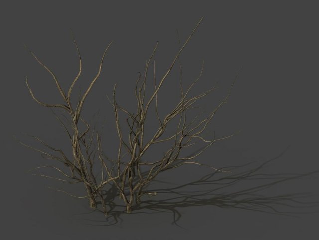 mountain plants - dry shrubs 03 Modèle 3D .c4d .max .obj .3ds .fbx .stl .blend 