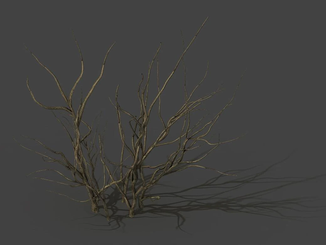 mountain plants - dry shrubs 03 3D Model .c4d .max .obj .3ds .fbx .stl .blend