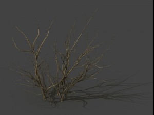 mountain plants - dry shrubs 03 3D Model