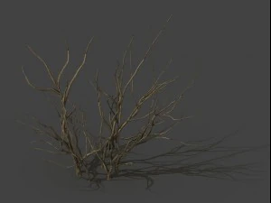 mountain plants - dry shrubs 03 3D Model