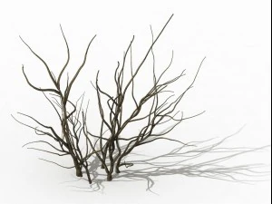 mountain plants - dry shrubs 03 3D Model
