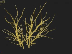 mountain plants - dry shrubs 03 3D Model