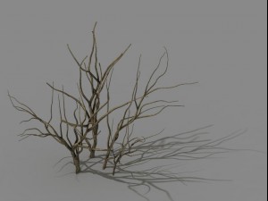 mountain plants - shrubs 04 3D Model