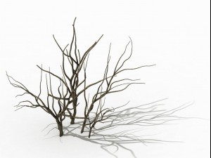 mountain plants - shrubs 04 3Dモデル