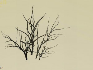 mountain plants - shrubs 04 3Dモデル