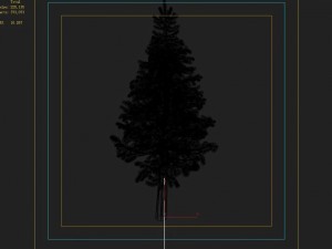 woods - fir tree 01 Modelo 3D