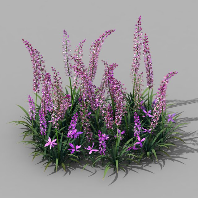 shanglin yuan - plant - flower 01 3D Model .c4d .max .obj .3ds .fbx .stl .blend 