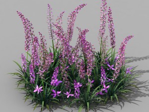 shanglin yuan - plant - flower 01 3D मॉडल