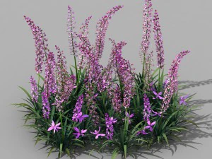 上林元 - 植物 - 花 01 3Dモデル