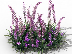 shanglin yuan - plant - flower 01 3D Model