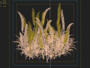 shanglin yuan - plant - flower 01 3D Model