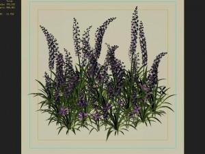 shanglin yuan - plant - flower 01 3D Model