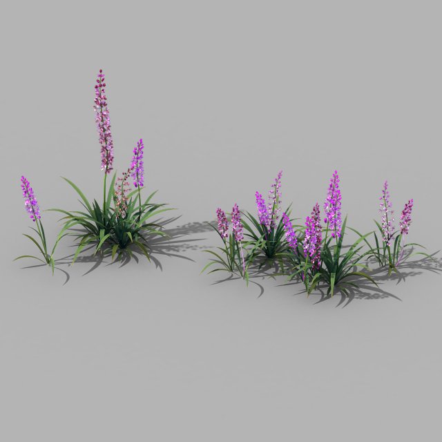 shanglin yuan - plant - flower 02 Modello 3D .c4d .max .obj .3ds .fbx .stl .blend 