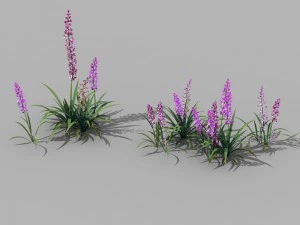 shanglin yuan - plante - fleur 02 Modèle 3D