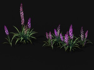shanglin yuan - plant - flower 02 Modello 3D