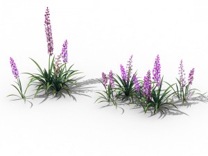shanglin yuan - plant - flower 02 Modello 3D