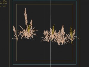 shanglin yuan - plant - flower 02 Modello 3D