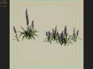 shanglin yuan - plant - flower 02 Modello 3D