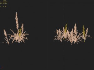 shanglin yuan - plant - flower 02 Modello 3D