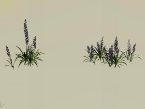 shanglin yuan - plant - flower 02 Modello 3D