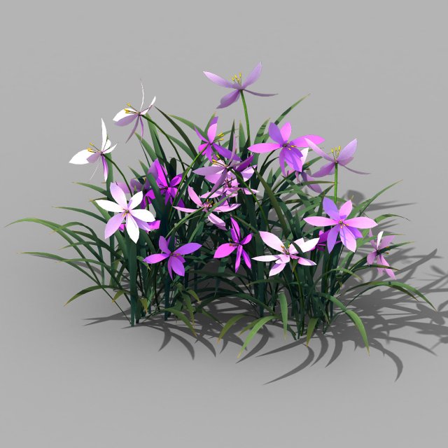 shanglin yuan - plants - flowers 03 3D 모델 .c4d .max .obj .3ds .fbx .stl .blend 