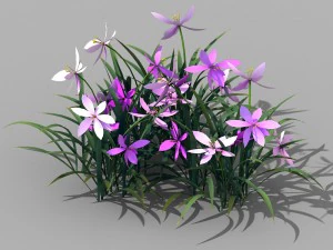 shanglin yuan - plants - flowers 03 3D Model