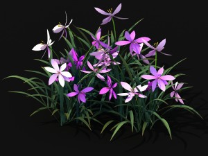 shanglin yuan - plants - flowers 03 3D 모델