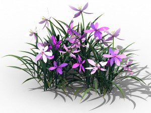 shanglin yuan - plants - flowers 03 3D 모델