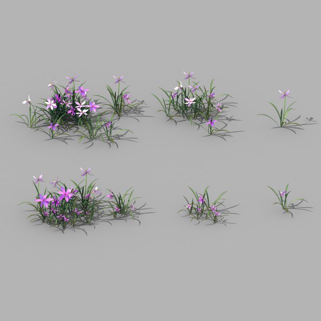 shanglin yuan - plants - flowers 04 3D 模型 .c4d .max .obj .3ds .fbx .stl .blend 