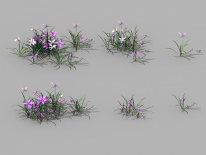 shanglin yuan - plants - flowers 04 Model 3D