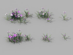 shanglin yuan - plantes - fleurs 04 Modèle 3D
