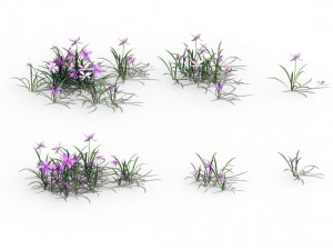 shanglin yuan - plants - flowers 04 3D 模型