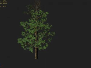 шанлінь юань - рослина - широколисте дерево 01 3D Модель