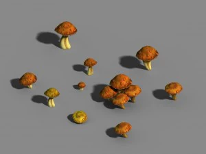 centomila montagne - funghi 01 Modello 3D