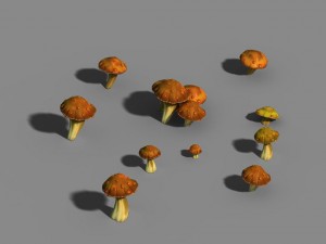 one hundred thousand mountains - mushrooms 01 3D 모델