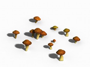 one hundred thousand mountains - mushrooms 01 3D 모델