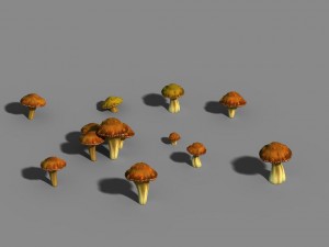 one hundred thousand mountains - mushrooms 01 3D 모델