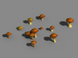 one hundred thousand mountains - mushrooms 01 3D 모델