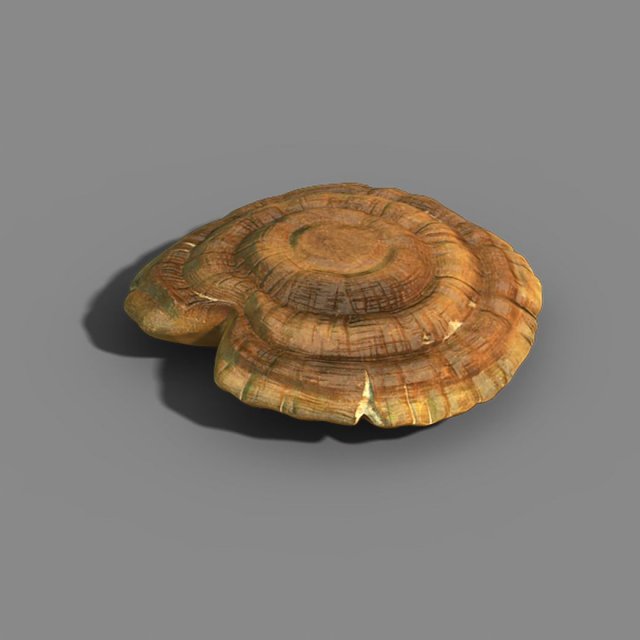 hundred thousand mountains - ganoderma lucidum 01 Modèle 3D .c4d .max .obj .3ds .fbx .stl .blend 