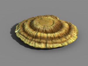 hundred thousand mountains - ganoderma lucidum 01 Modèle 3D