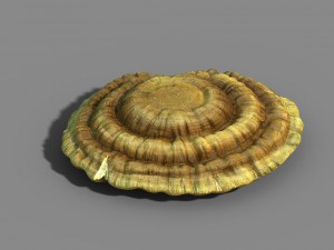 hundred thousand mountains - ganoderma lucidum 01 Modèle 3D
