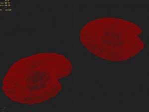 hundred thousand mountains - ganoderma lucidum 01 Modèle 3D